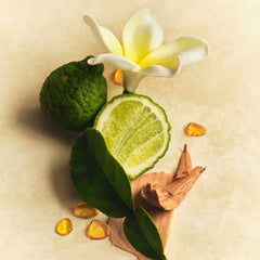 Scent Layering Trio Y5